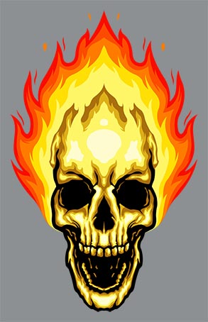 Skull